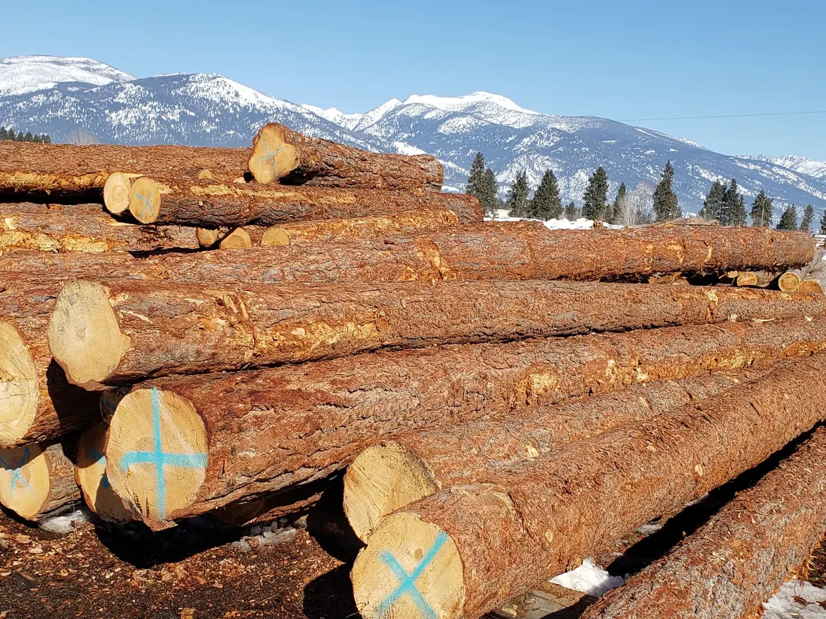 Log inventory at the mill with mountains in the distance