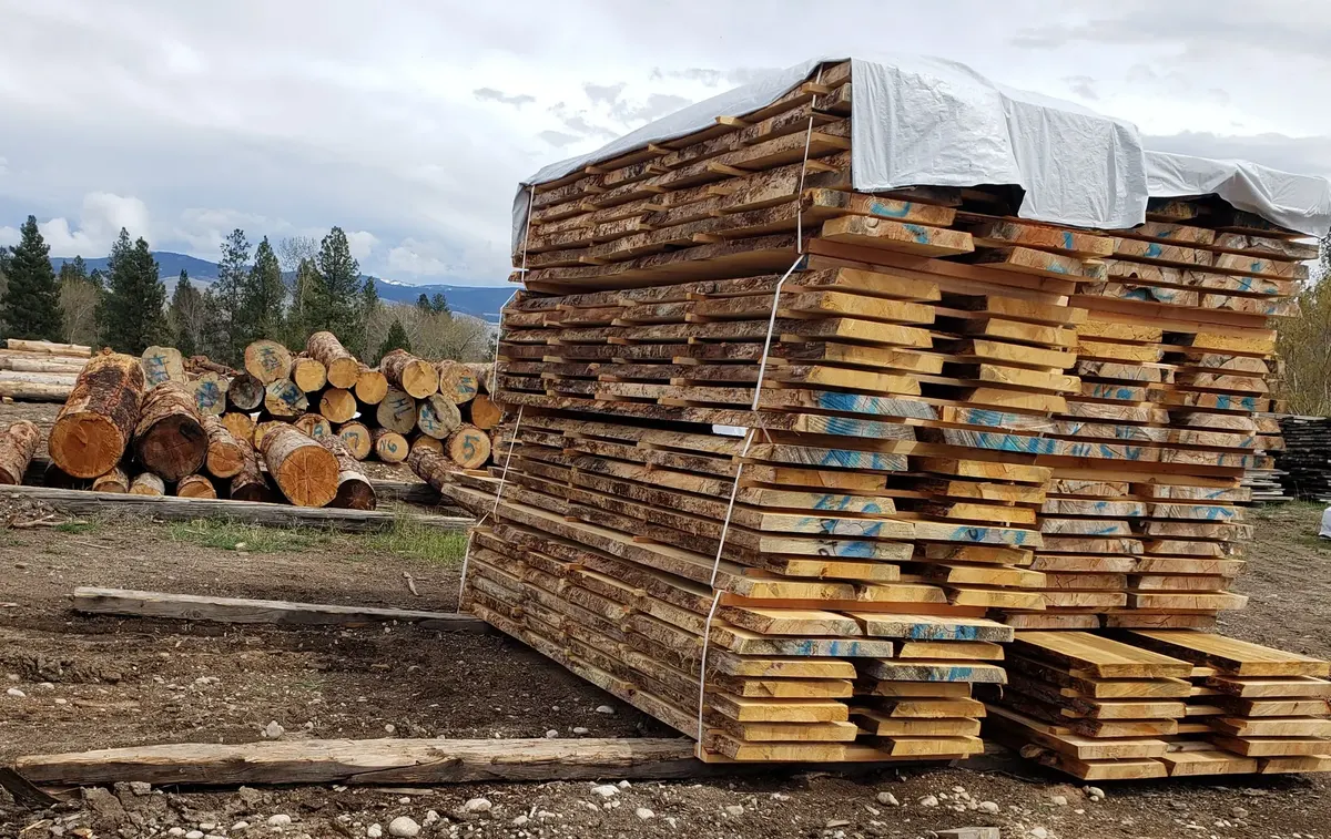 Stacks of lumber in a Montana mill yard with mountains beyond